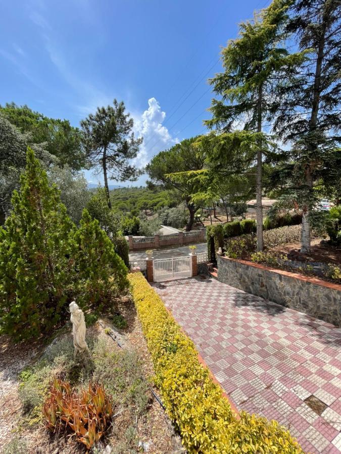 Villa Herlinda Costa Brava - With Swiming Pool Massanet De La Selva Dış mekan fotoğraf